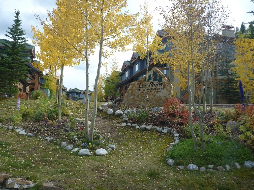 Yankee Boy In Town Of Telluride By Telluride Resort Lodging Eksteriør billede